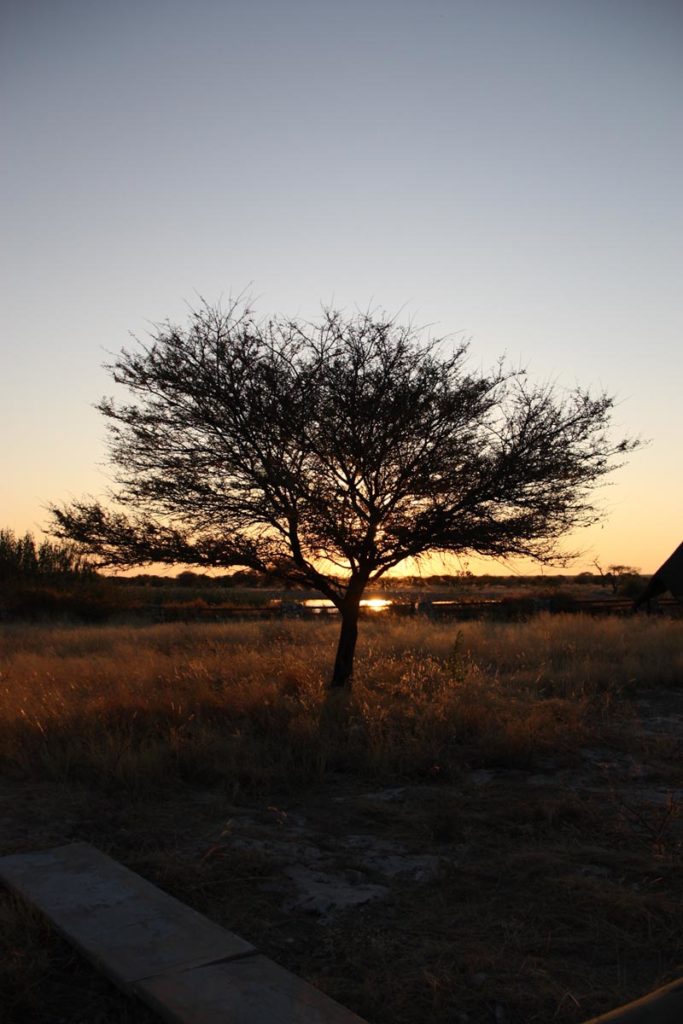 gallery-namibia (19)