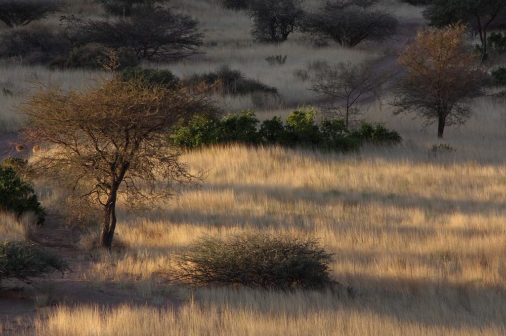 gallery-namibia (63)