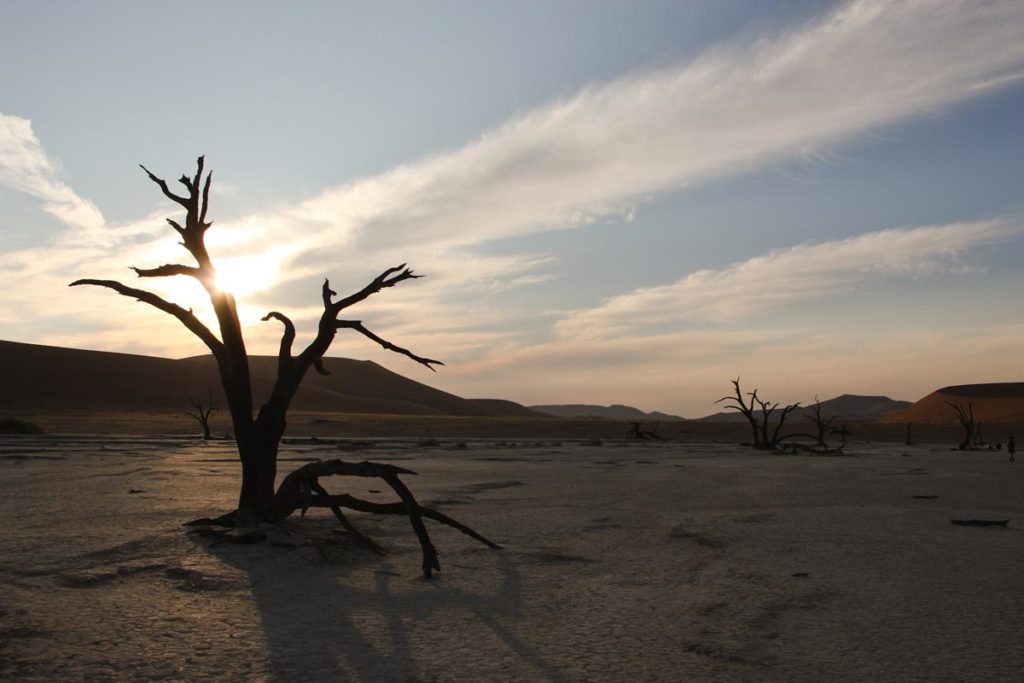 gallery-namibia (76)